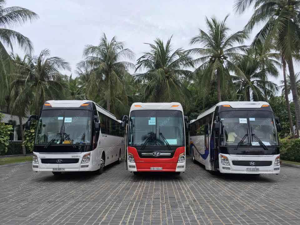 Xe 45 chỗ Đà Nẵng hiện đại tại Việt Nam Daily Tour