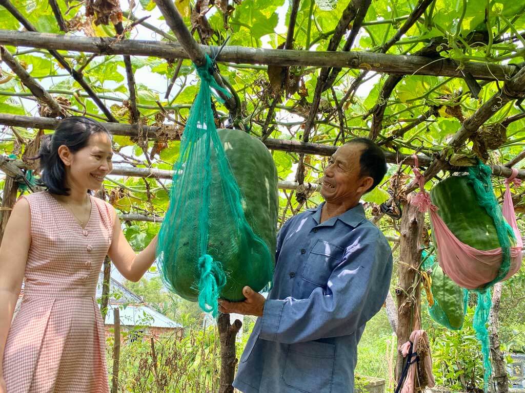 Tuyệt chiêu ‘SĂN VÉ’ Tour Bình Định giá siêu hời năm 2023 6 Quả bí đao siêu to khổng lồ