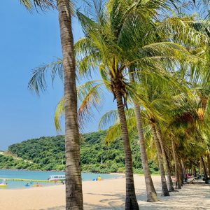 SƠN TRÀ – NGŨ HÀNH SƠN – HỘI AN – CÙ LAO CHÀM – BÀ NÀ (3N2Đ)