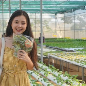 Khám phá Phú Yên trong ngày với tour Quy Nhơn – Cao nguyên Vân Hòa