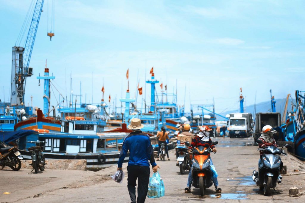 Cảng hàm tử cảng cá hải sản tươi sống Quy Nhơn