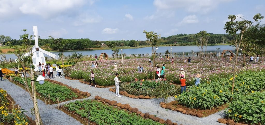 cao nguyen van hoa phu yen 2
