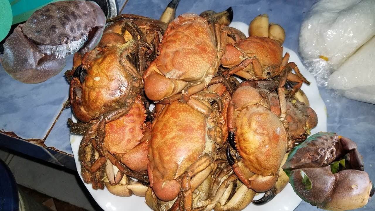 Kinh nghiệm du lịch Cù Lao Chàm 1 ngày đầy đủ nhất 10 Du lịch Cù Lao Chàm 10