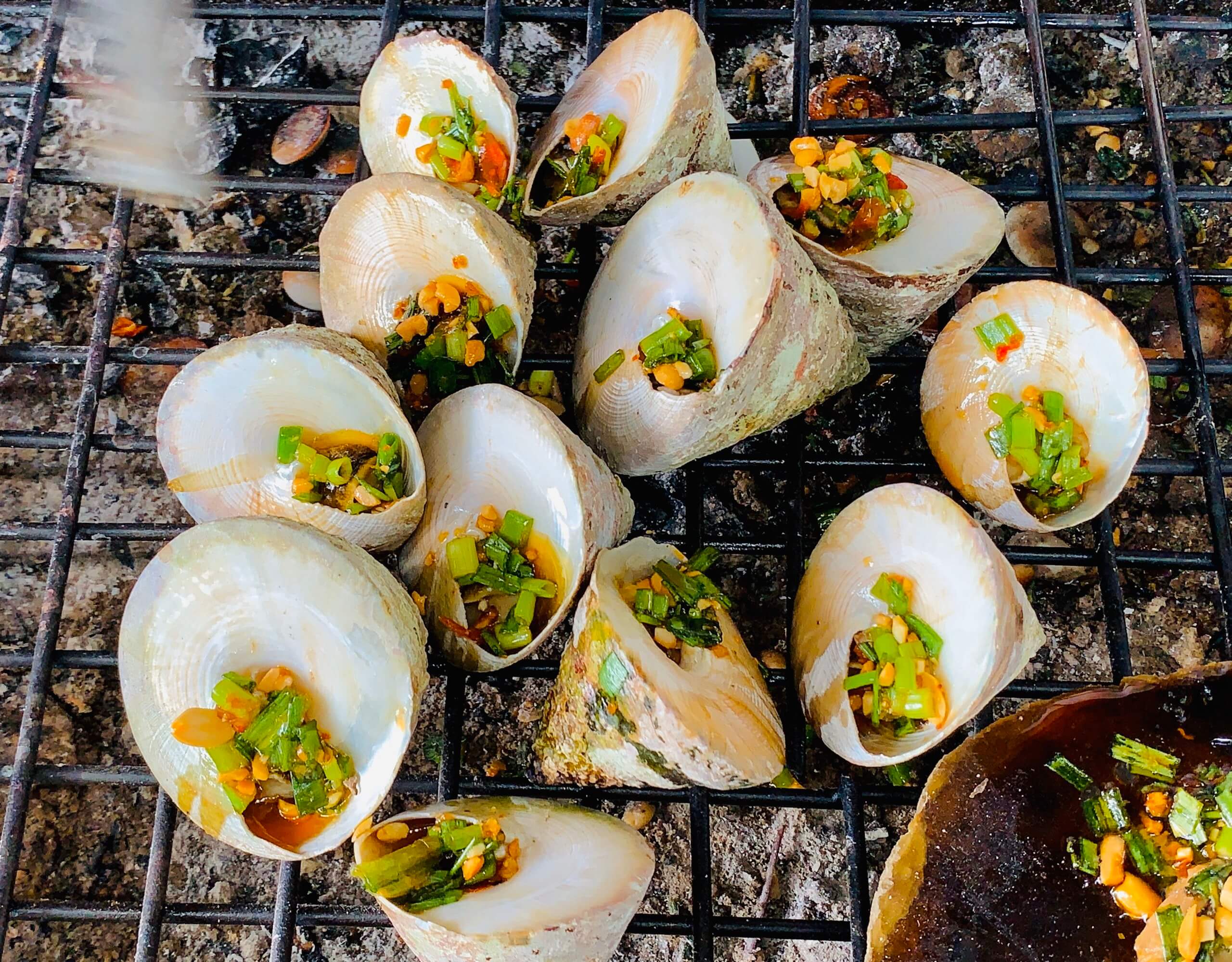 Kinh nghiệm du lịch Cù Lao Chàm 1 ngày đầy đủ nhất 11 Du lịch Cù Lao Chàm 11