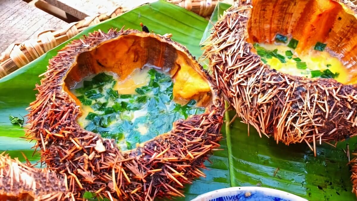 Kinh nghiệm du lịch Cù Lao Chàm 1 ngày đầy đủ nhất 12 Du lịch Cù Lao Chàm 12