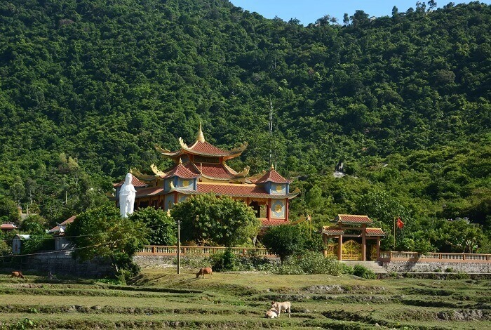 Kinh nghiệm du lịch Cù Lao Chàm 1 ngày đầy đủ nhất 8 Du lịch Cù Lao Chàm 8