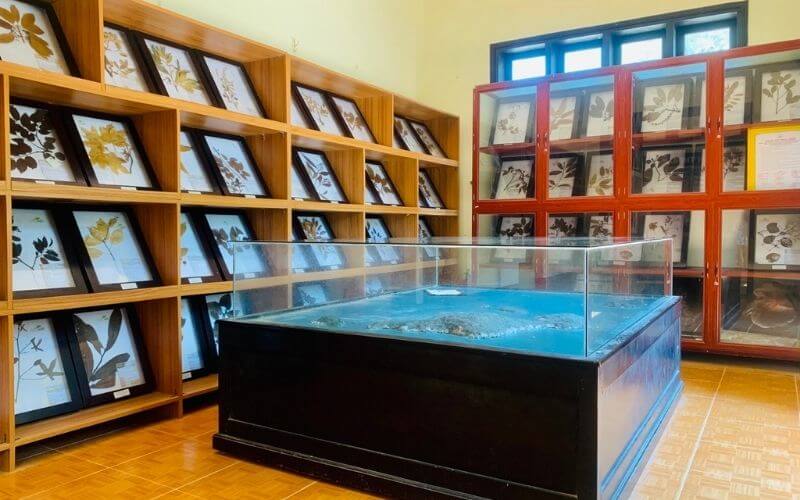 Một góc nhà bảo tàng biển tại Cù Lao Chàm