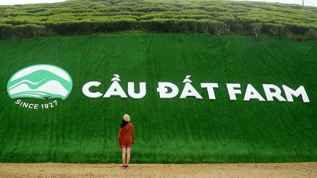 Khám phá nhà máy sản xuất trà