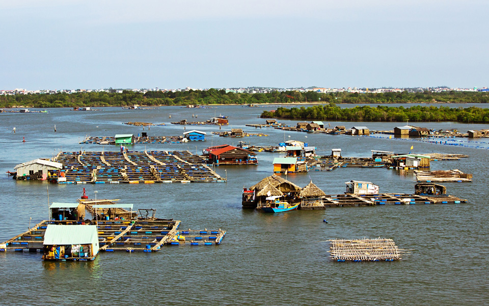Đoàn làm thủ tục trả phòng và ăn trưa
