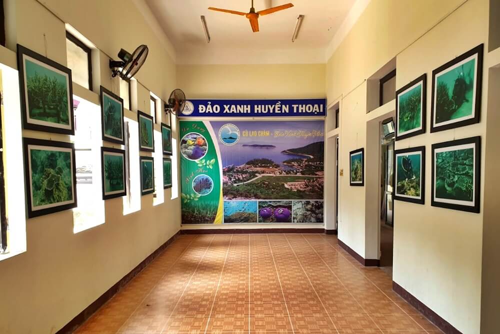 Du lịch Cù Lao Chàm tự túc - Bật mí 10+ cẩm nang “đắt giá” 11 Nơi lưu giữ những bức tranh độc đáo