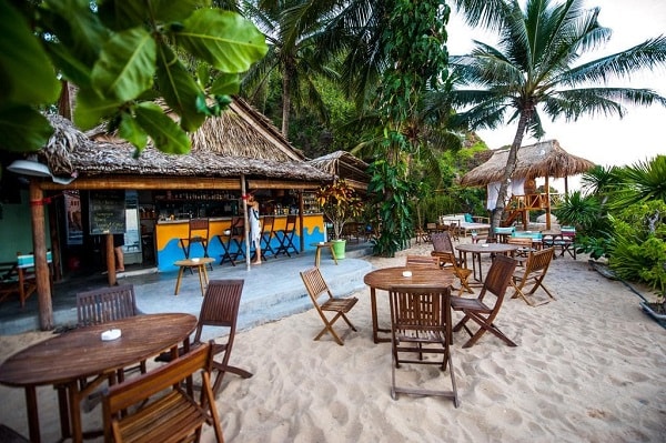 Phòng ngủ giản dị của khách sạn Big Tree Backpackers and Bistro