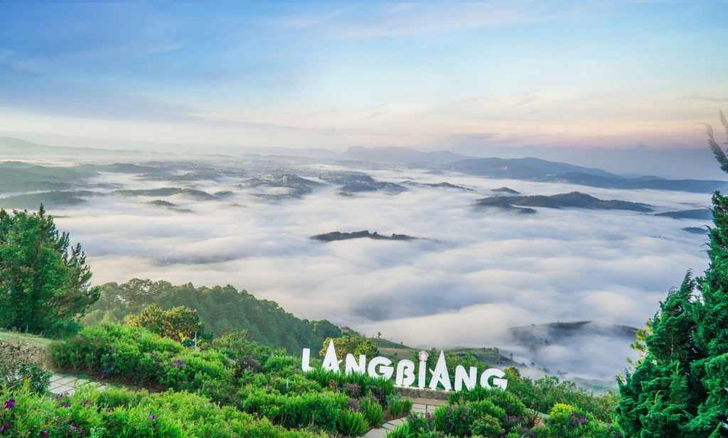 Ngắm lá phong Đà Lạt vào tháng mấy trong năm ? 5 Rừng lá phong Langbiang