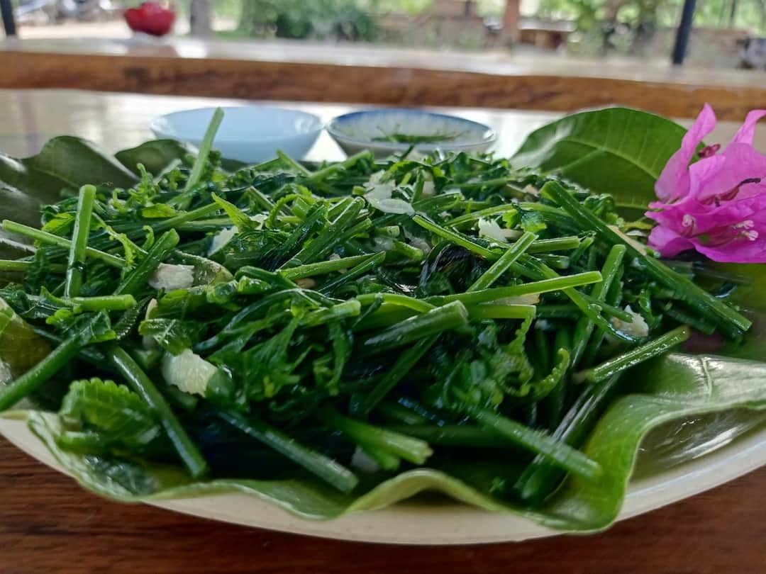 Suối nước nóng Vĩnh Thạnh 3 suoi nuoc nong vinh thanh 2 1