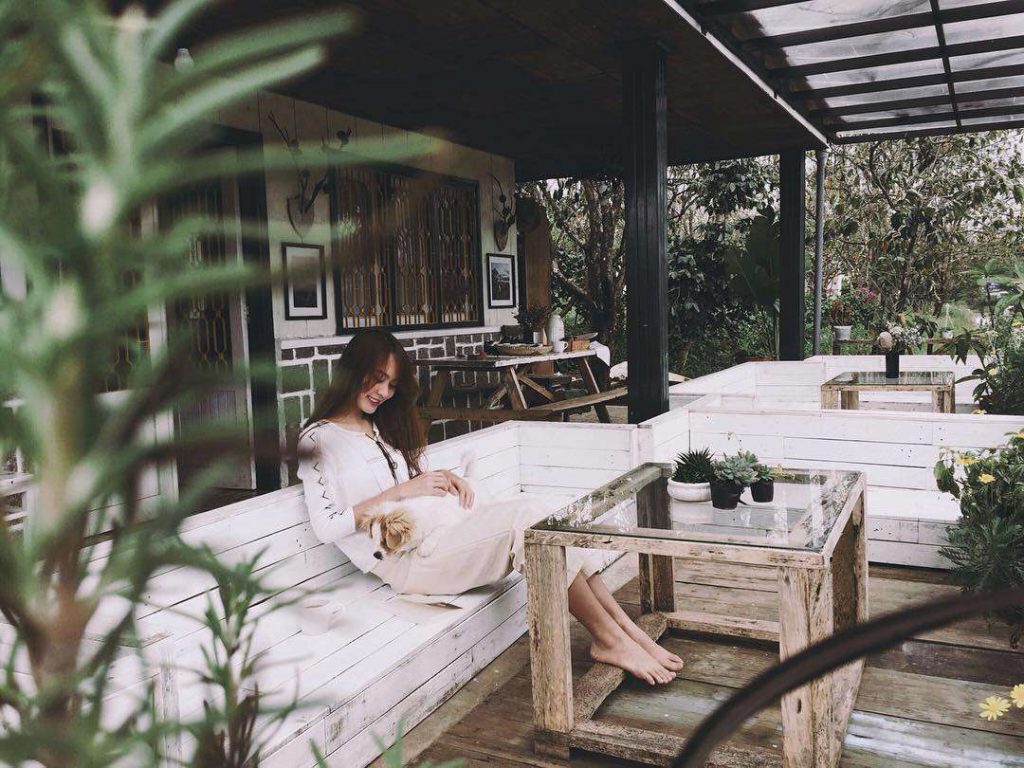 Homestay ở Đà Lạt 1 The Shelter Homestay
