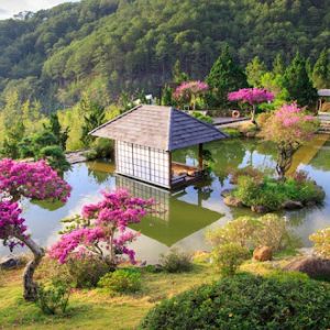 Tour check in Đà Lạt – Kombi – Puppy – Que – Green Hills bạn không nên bỏ qua
