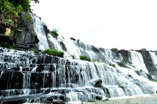 Top 08 tour Đà Lạt cho bạn check in các địa điểm đẹp nhất 4 Tour Đà Lạt