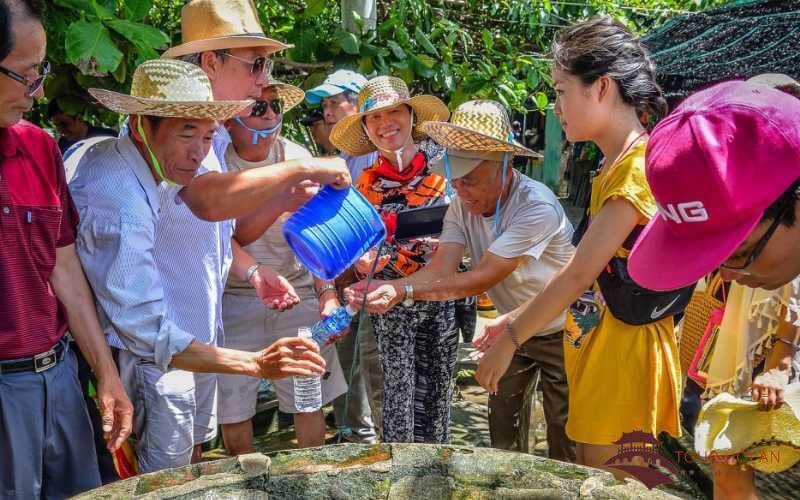 Ăn gì, chơi gì khi đi tour du lịch cù lao chàm? 9 Tour du lịch Cù Lao Chàm 9
