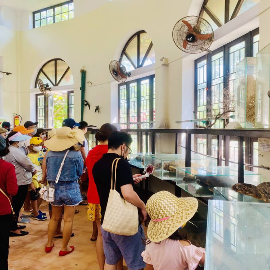 Tour ghép Cù Lao Chàm 4