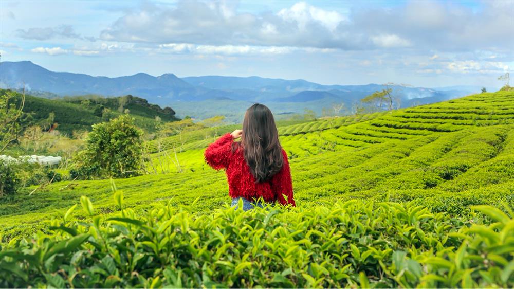 tour-ghep-da-lat-16 Cầu Đất - Vườn Hồng - Vườn cẩm tú cầu - Vườn bí ngô - Kombi