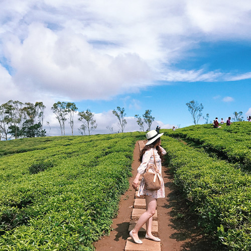 Tour Kon Tum Măng Đen Gia Lai