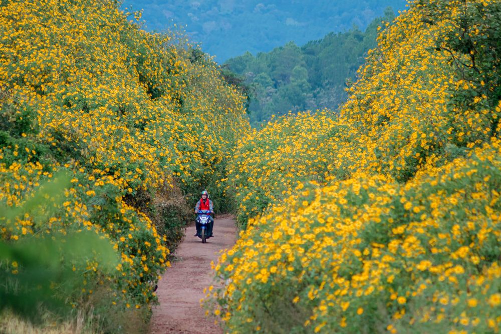 Tour Kon Tum Măng Đen Gia Lai Đăk Lăk