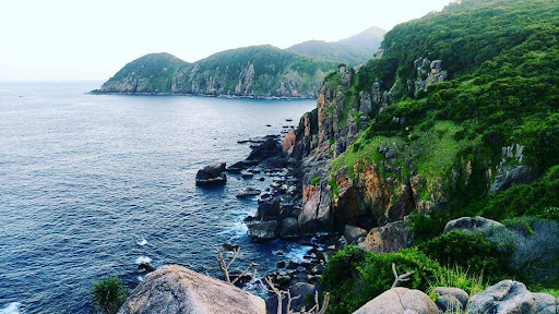 Tour Phú Yên - Quy Nhơn - Gia Lai - Buôn Ma Thuột có gì hấp dẫn? 1 tour phú yên quy nhơn gia lai buôn mê thuột