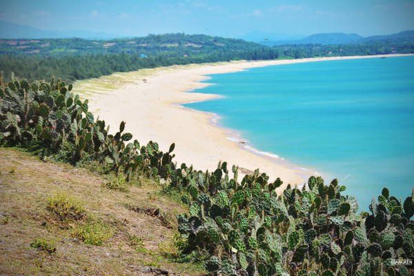 tour-phu-yen-quy-nhon-gia-lai-buon-me-thuot-7 Tham quan Bãi Xép, Gành Ông