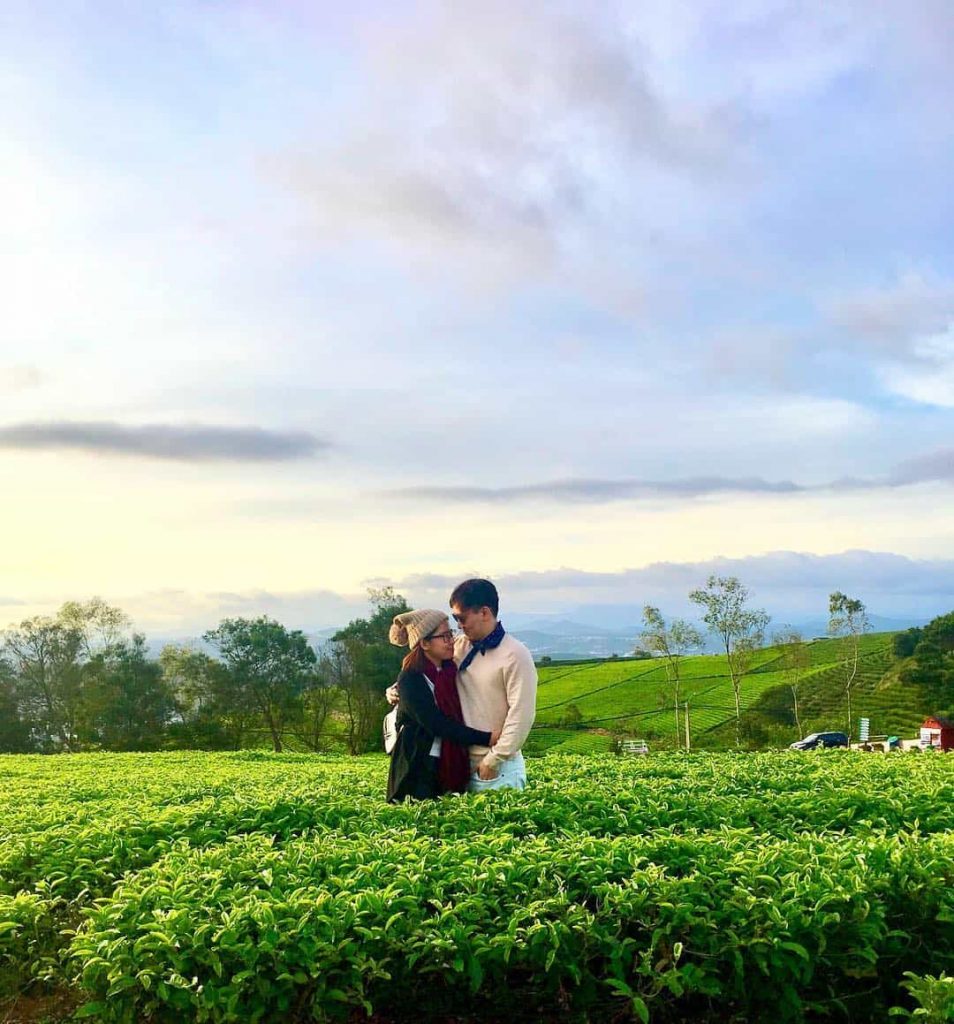 Về Đồi chè Cầu Đất