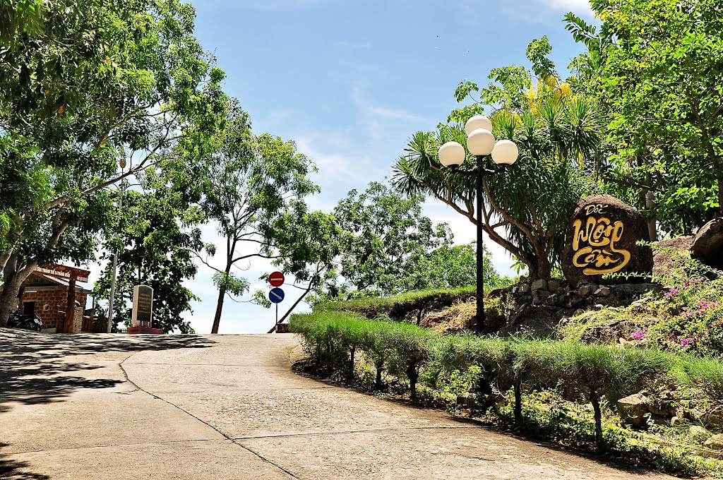 thuê xe điện quy nhơn