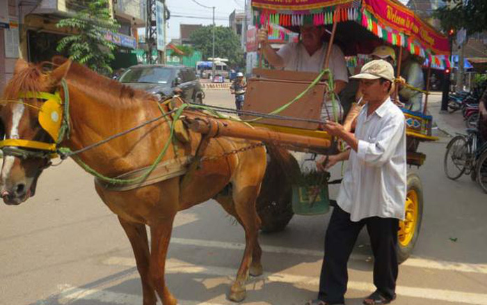 xe ngựa quy nhơn