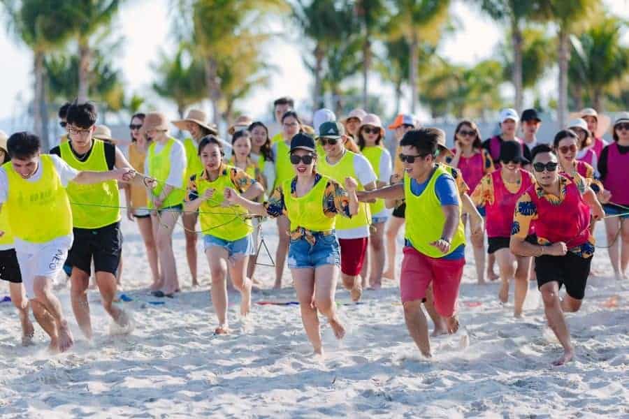 Đặt tour Quy Nhơn ở đâu? Review công ty hot nhất 2023 5 Đặt tour Quy Nhơn team building tại Việt Nam Daily Tour