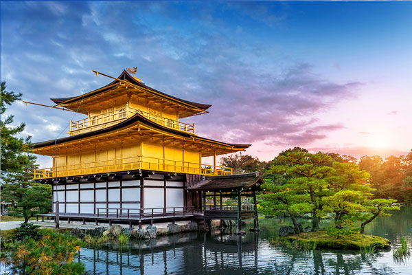 TOKYO – NÚI PHÚ SĨ – NAGOYA – KYOTO – OSAKA 8 chua vang nhat ban kinkakuji bieu tuong cua kyoto