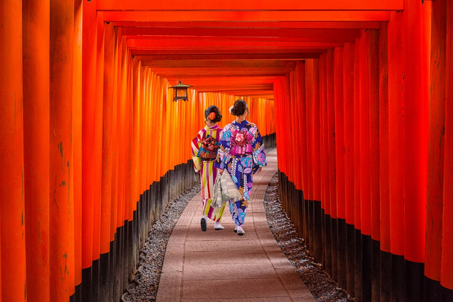 CNDL NB fushimi inari taisha transviet 2