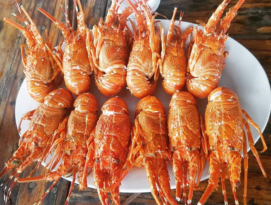 Check in Kỳ Co Eo Gió Quy Nhơn 1 ngày 5 eo gio 5 2
