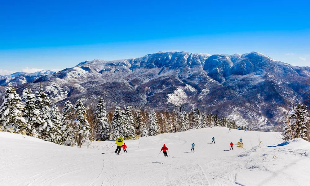 TOKYO – PHÚ SĨ – NAGOYA – KYOTO – OSAKA 4 khu truot tuyet fujiten nhat ban 6 jpg