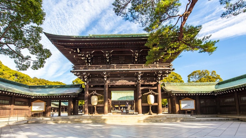 TOKYO – NÚI PHÚ SĨ 6 meiji jingu ngoi den shinto vi dai nhat tai tokyo