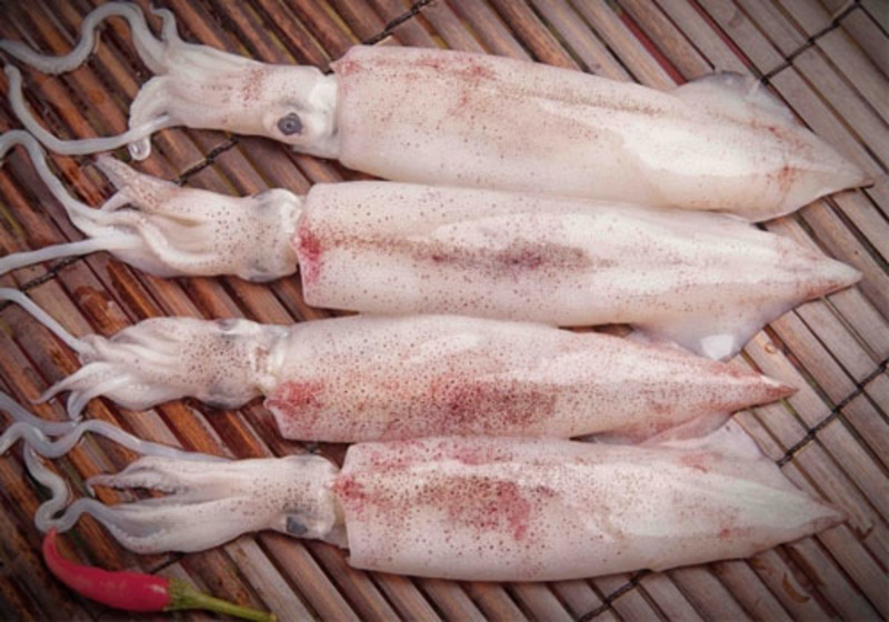 Mực ngon món ngon trứ danh Quy Nhơn