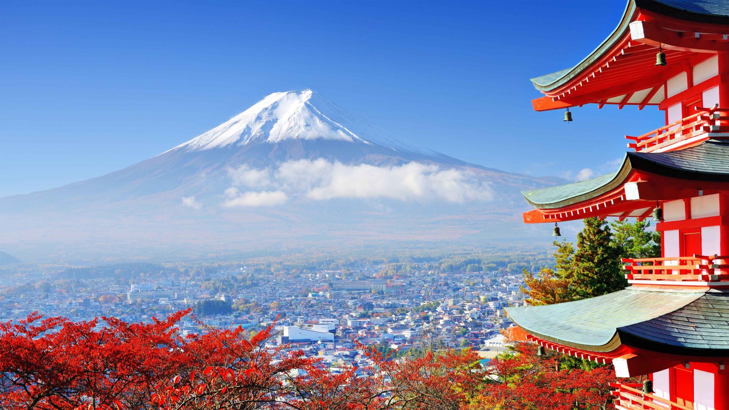 NAGOYA - OSAKA – KYOTO – PHÚ SĨ – TOKYO 5 nui phu si ngon scaled