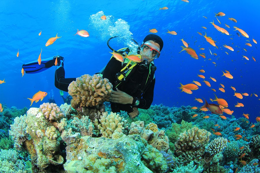 Tour Quy Nhơn Kỳ Co