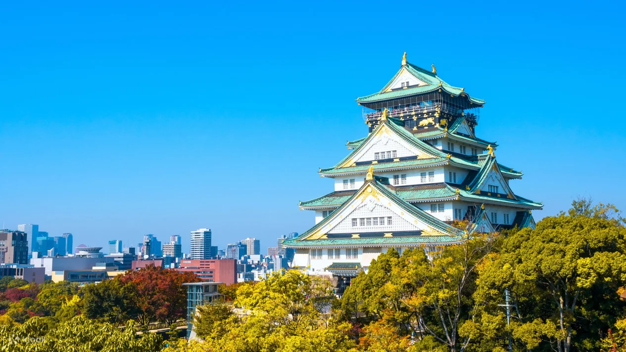 TOKYO – PHÚ SĨ – NAGOYA – KYOTO – OSAKA 9